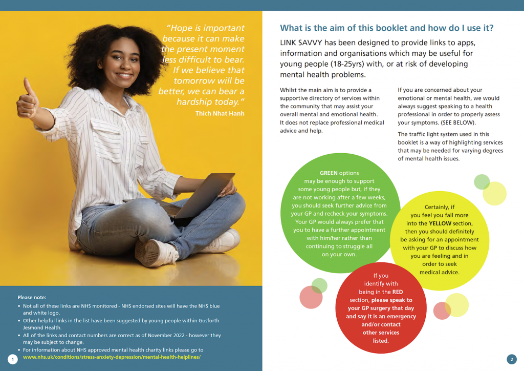 An image shows the first two inside page of LINK SAVVY, with a young black woman sitting on the floor giving a thumbs up, and green, yellow and red circles showing the traffic light system.